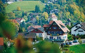 Hotel-restaurant Bergfriedel